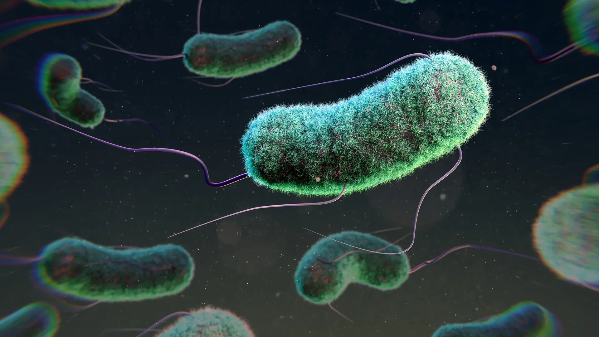 Reino Unido enfrenta surto de E.coli