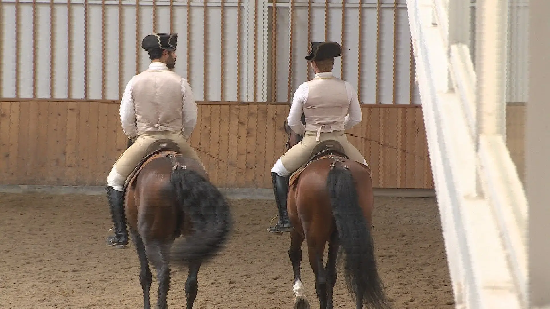 Arte Equestre Portuguesa classificada Património Imaterial da Humanidade