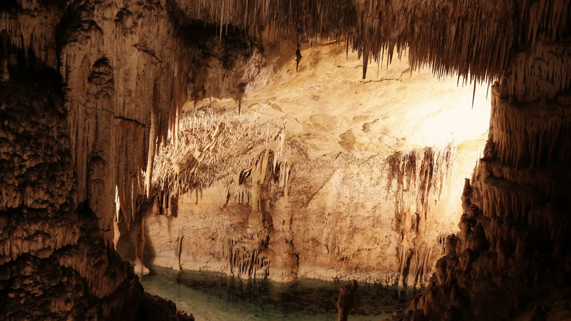 Expedição inédita em Portugal: investigadores estudam vestígios com milhares de anos numa gruta em Ourém