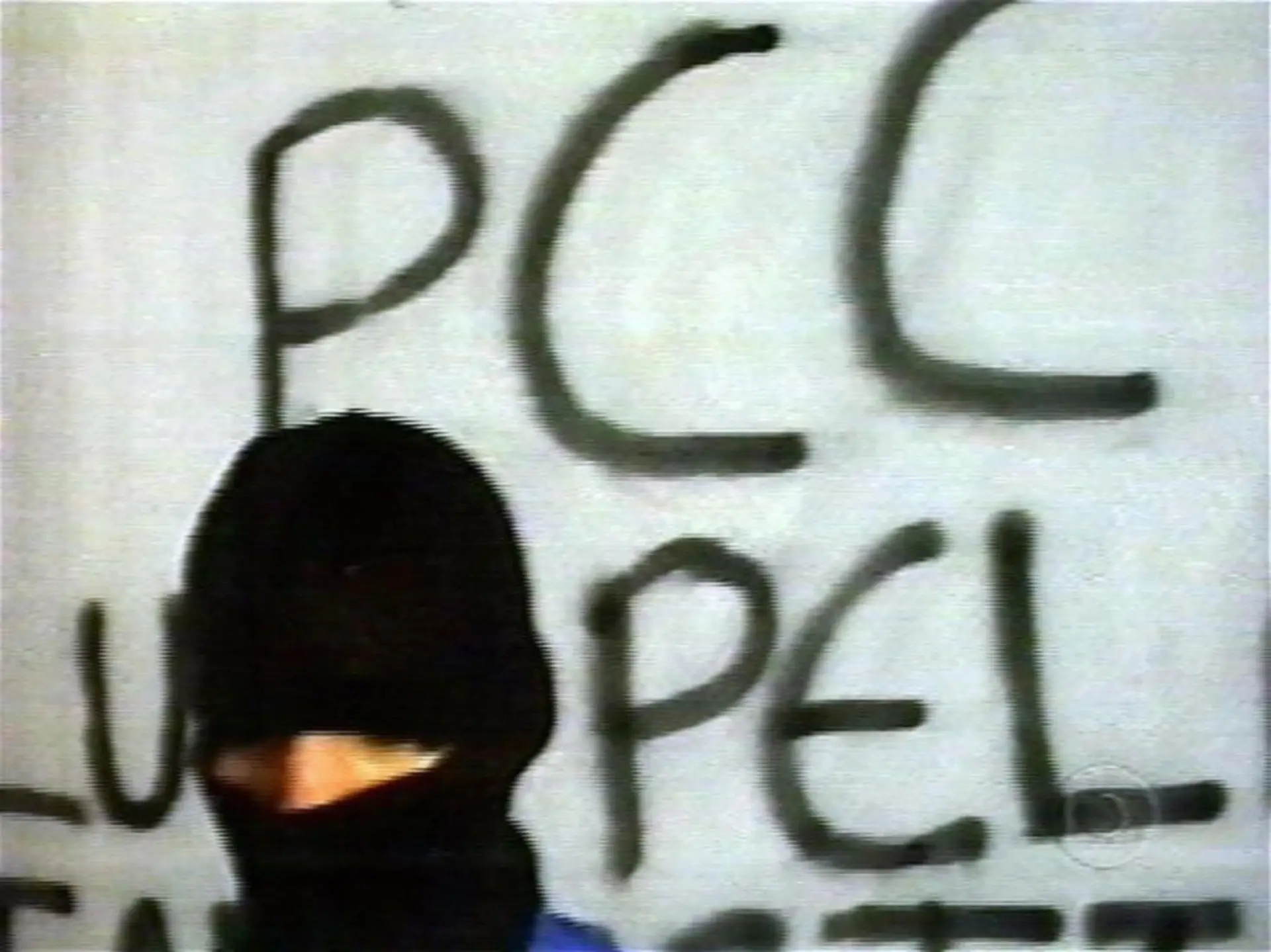 El gobierno brasileño celebra la retención y deteniendo al líder del PCCh