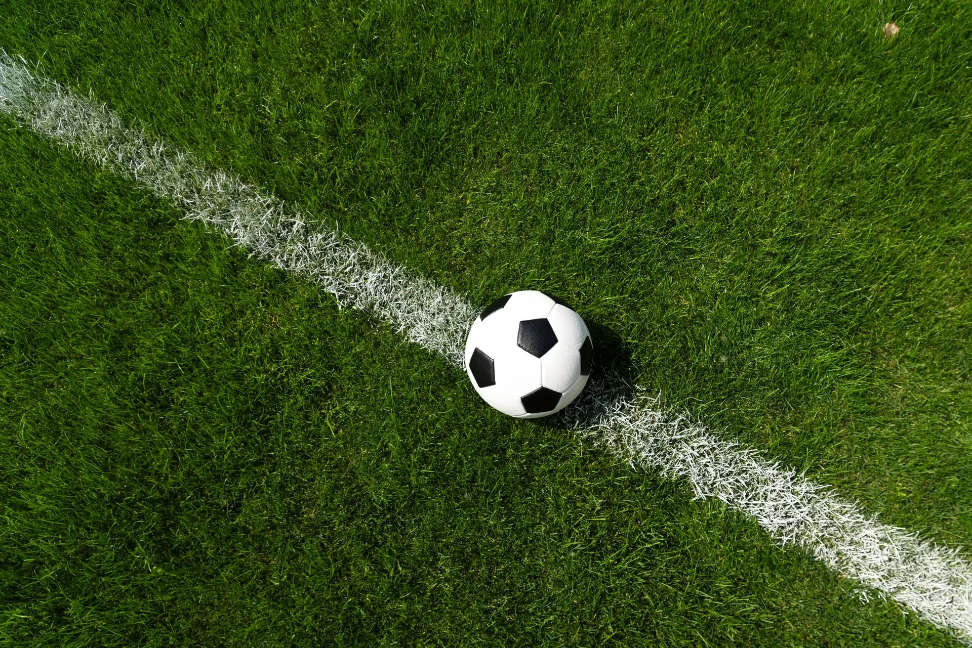 Violência marca torneio de futebol no Porto: jogadores suíços agredidos por adeptos
