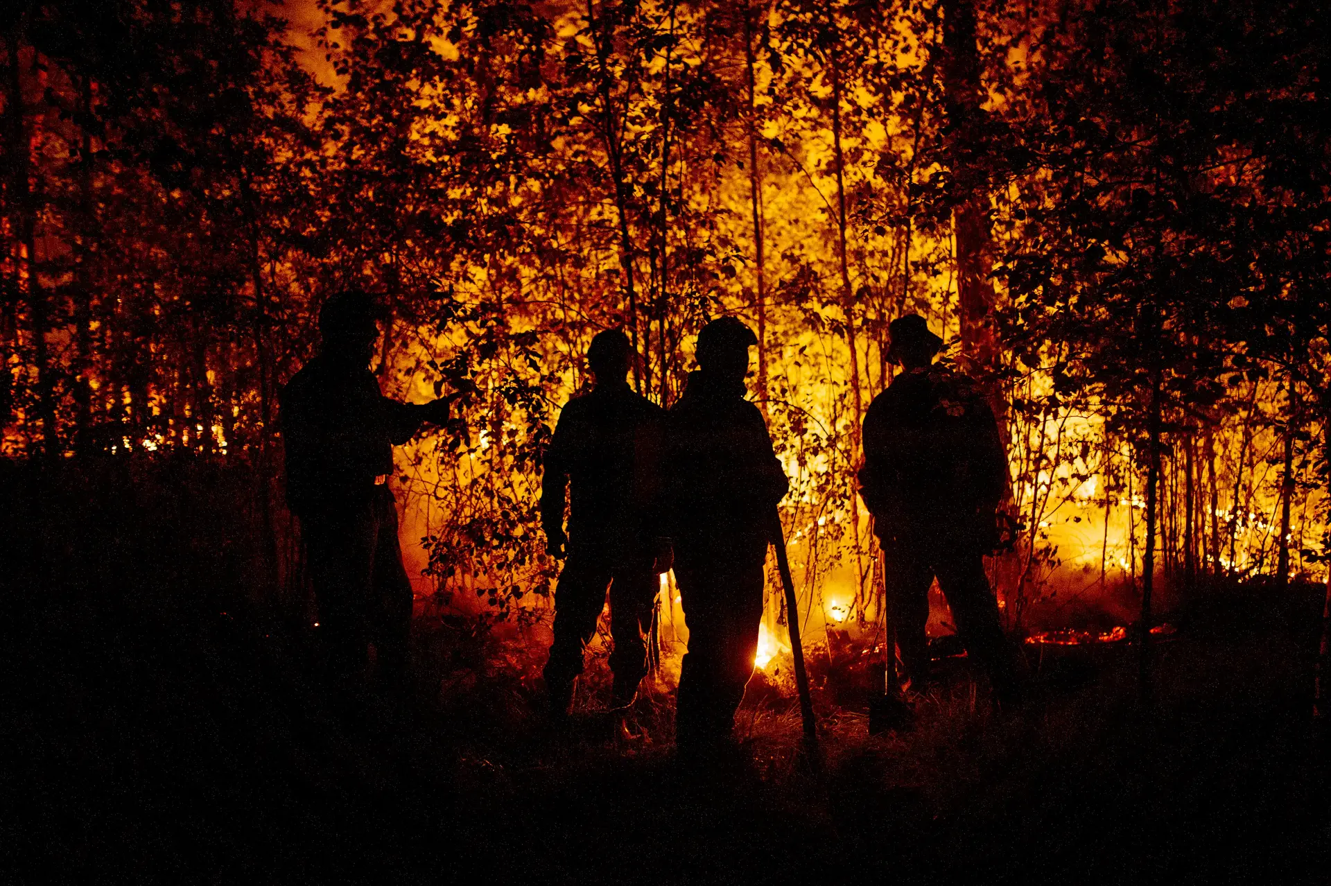 Incêndios florestais na Rússia: mais de um milhão de hectares estão a arder