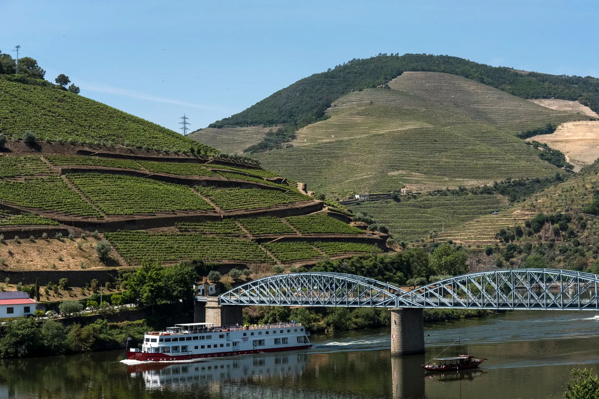 À descoberta da Nacional 222 com paragens obrigatórias para abastecer com vinhos e sabores da região