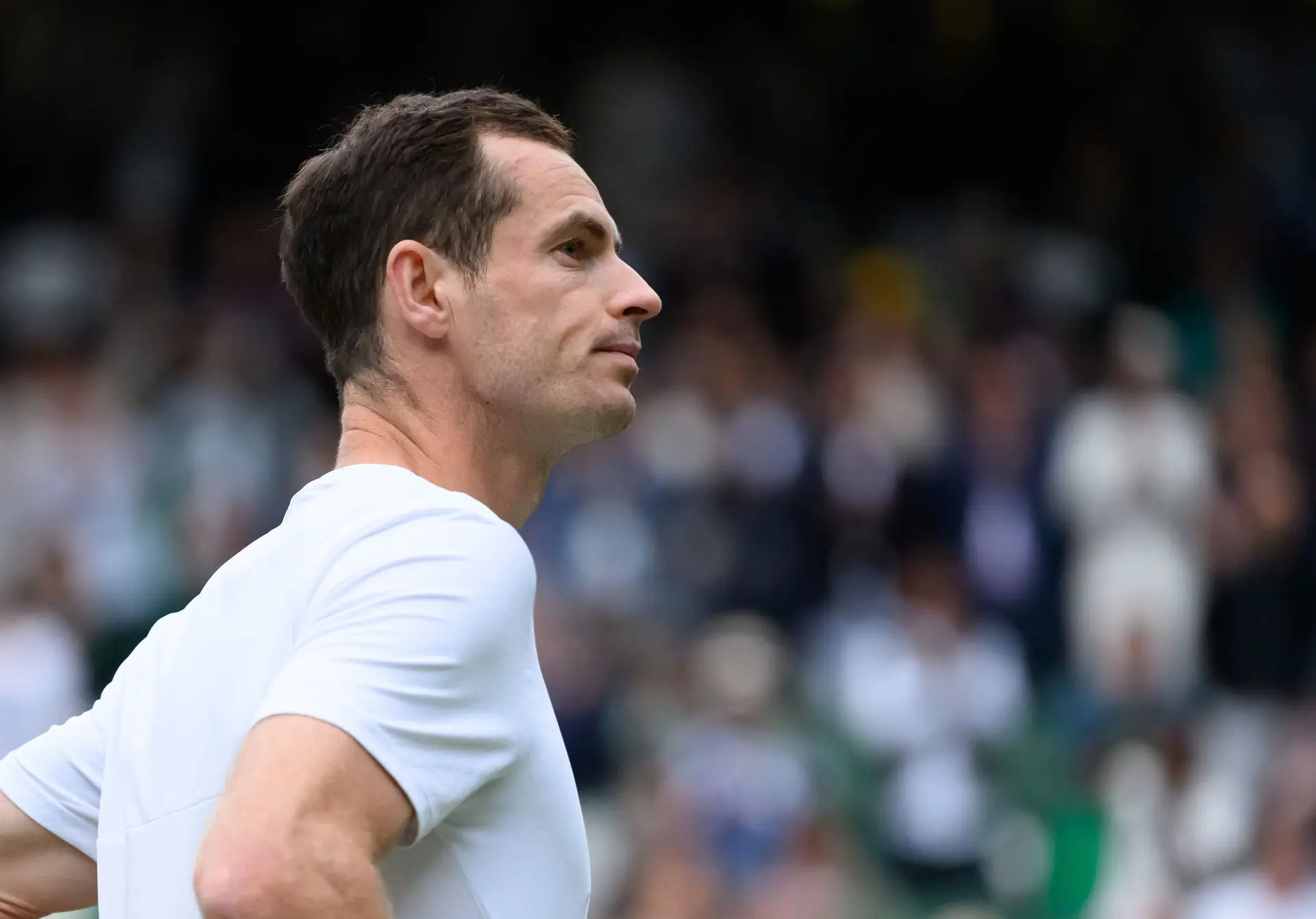 Andy Murray anuncia que vai terminar carreira depois dos Jogos Olímpicos