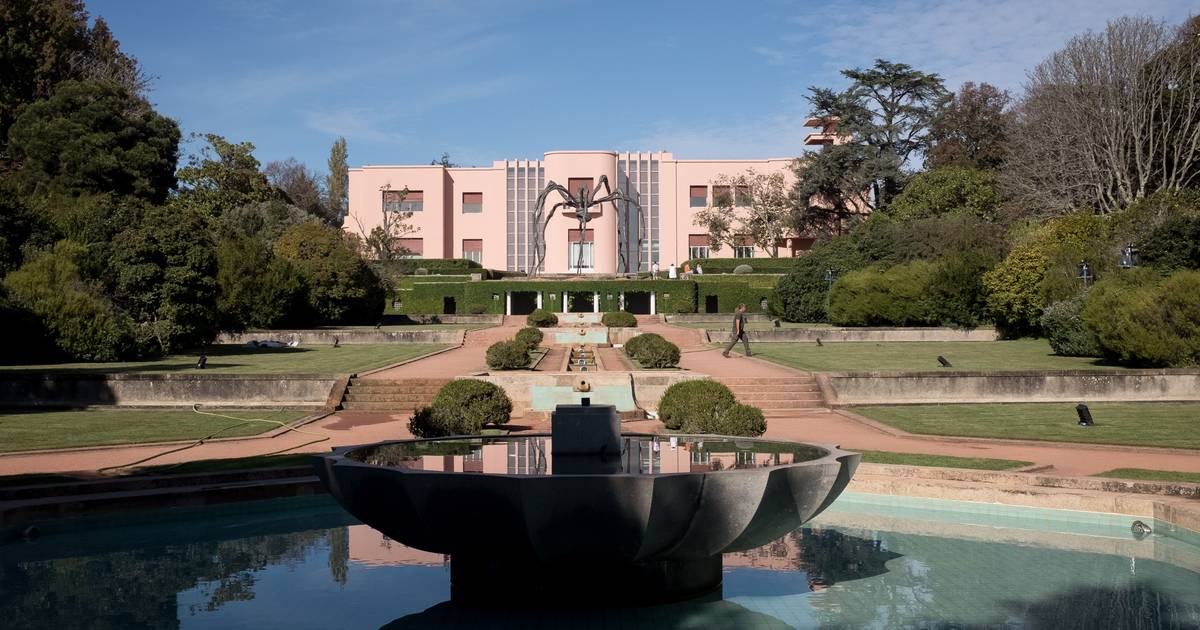 Serralves oferece entrada durante todo o dia nos primeiros domingos do mês