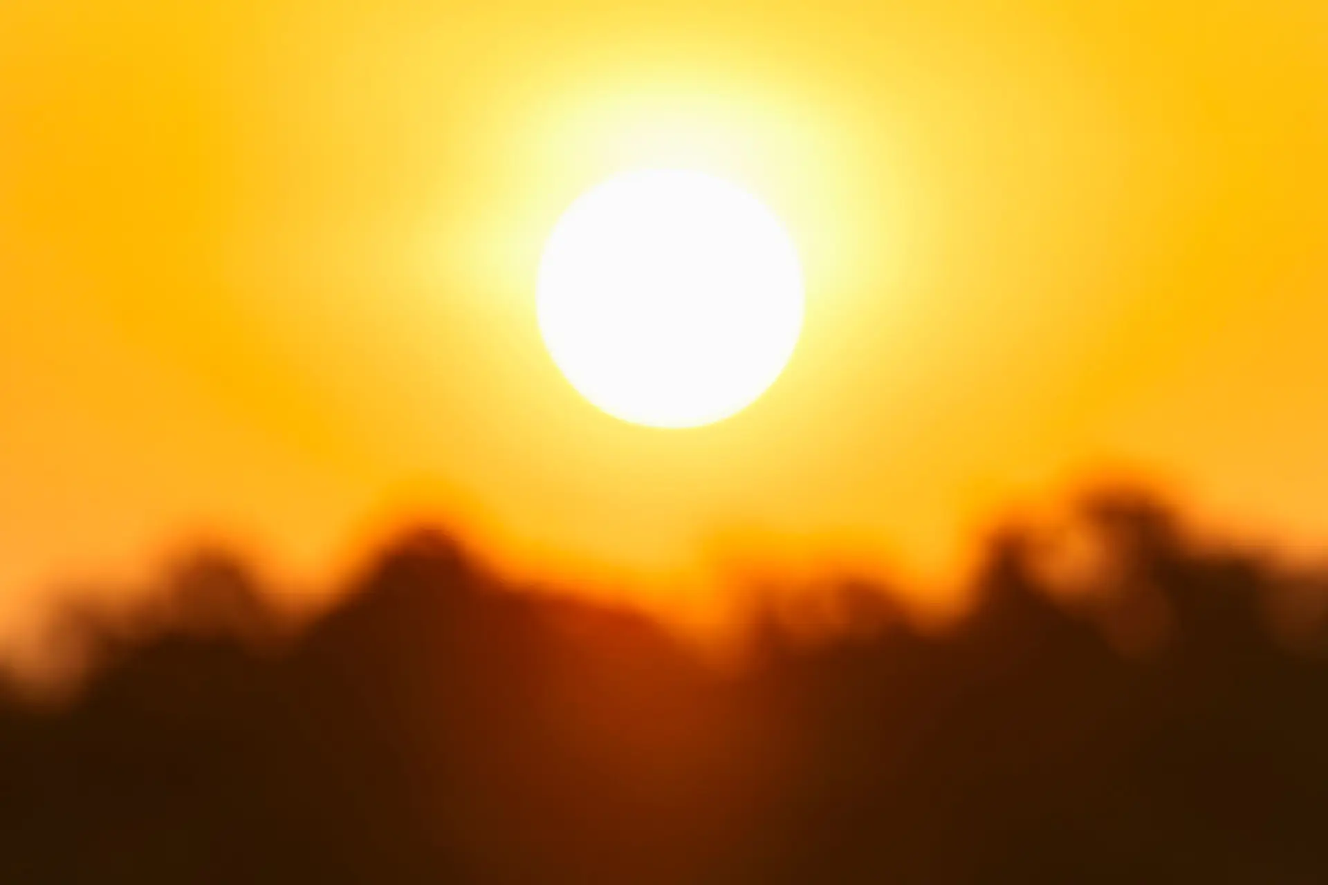 Calor extremo: DGS recomenda medidas de proteção nos próximos dias