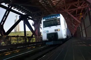 Queda de árvore obriga a "via única" na ligação da Fertagus entre Setúbal e Lisboa