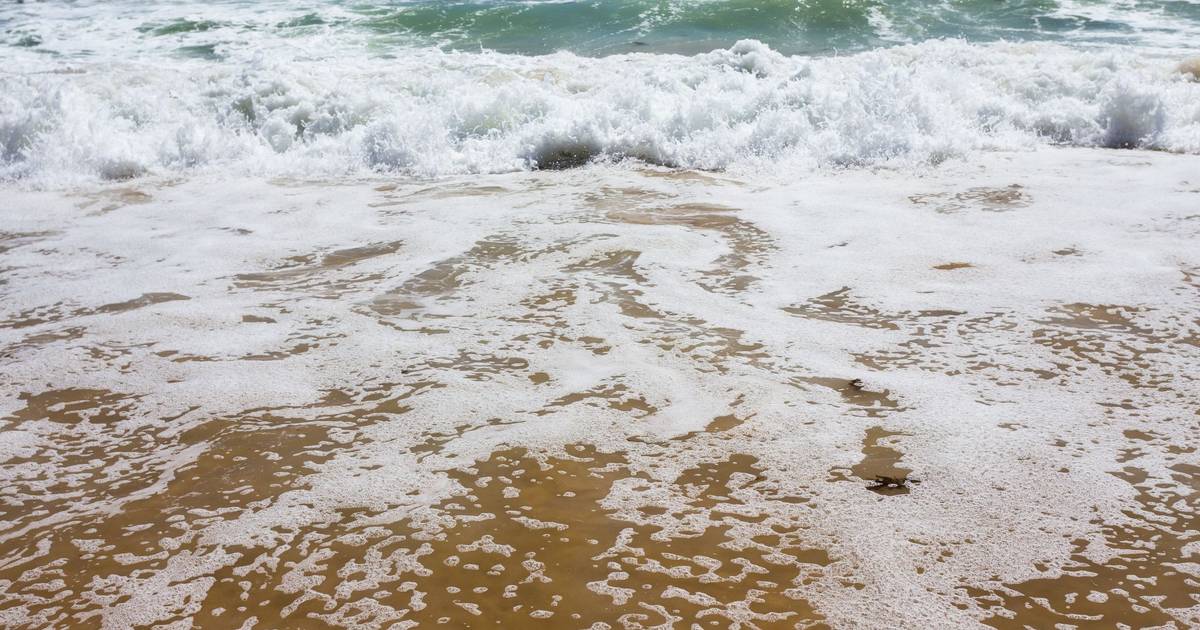 Vento e temperatura trocam voltas a quem rumou ao Algarve para umas miniférias
