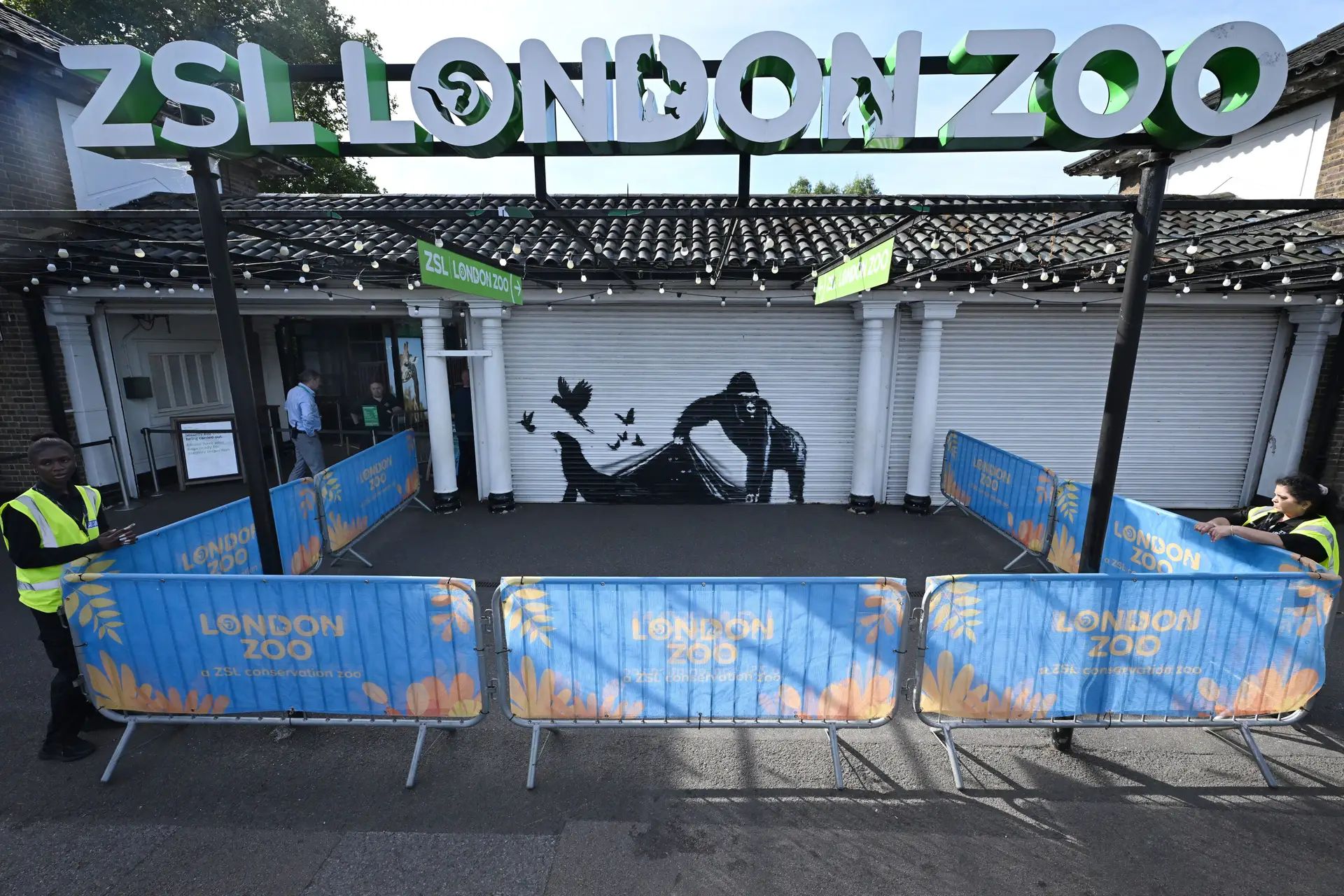 Banksy divulga nova obra… a última da série “Zoológico de Londres”
 #ÚltimasNotícias #Portugal