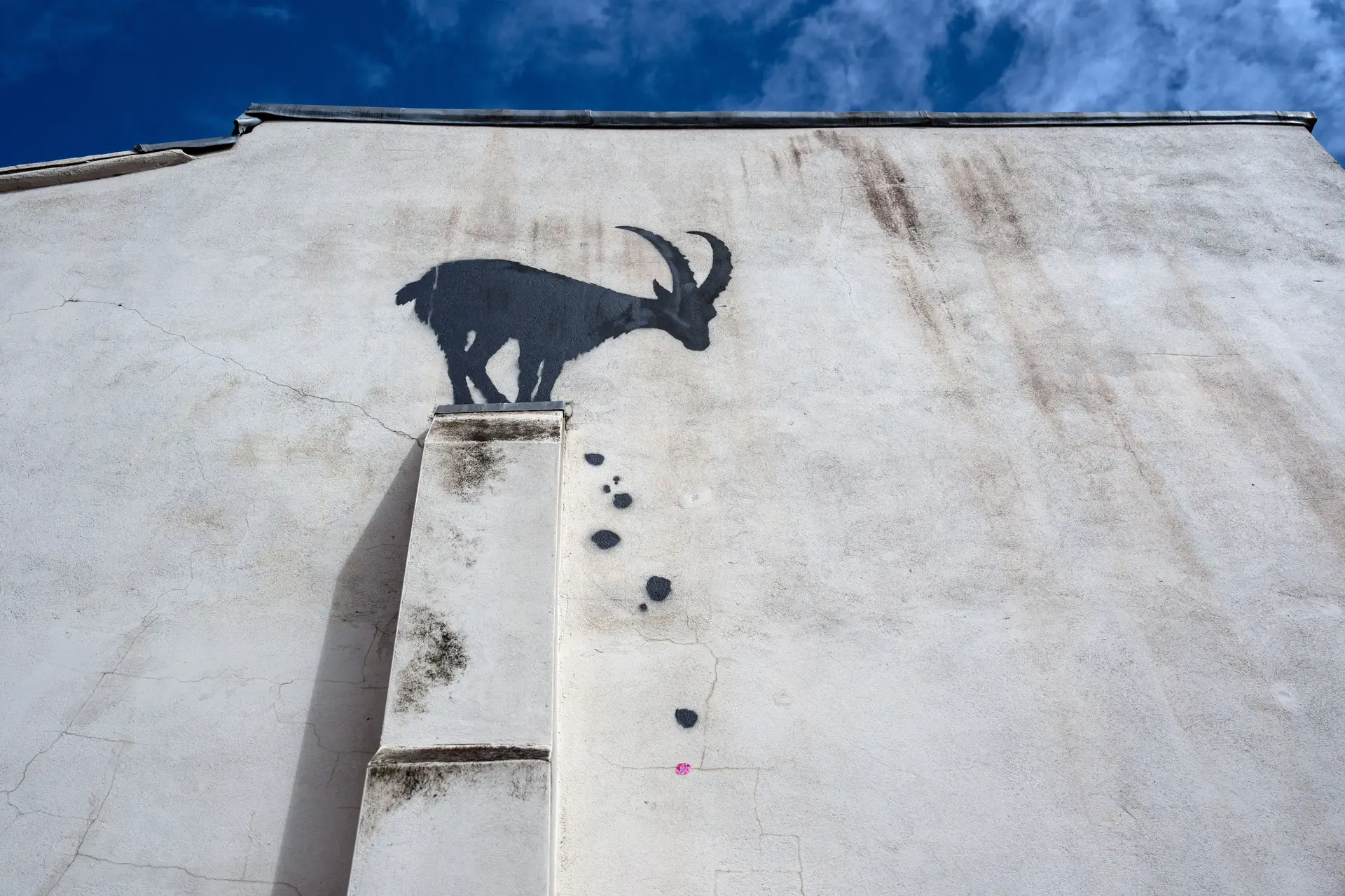 Banksy divulga nova obra... a última da série "Zoológico de Londres"