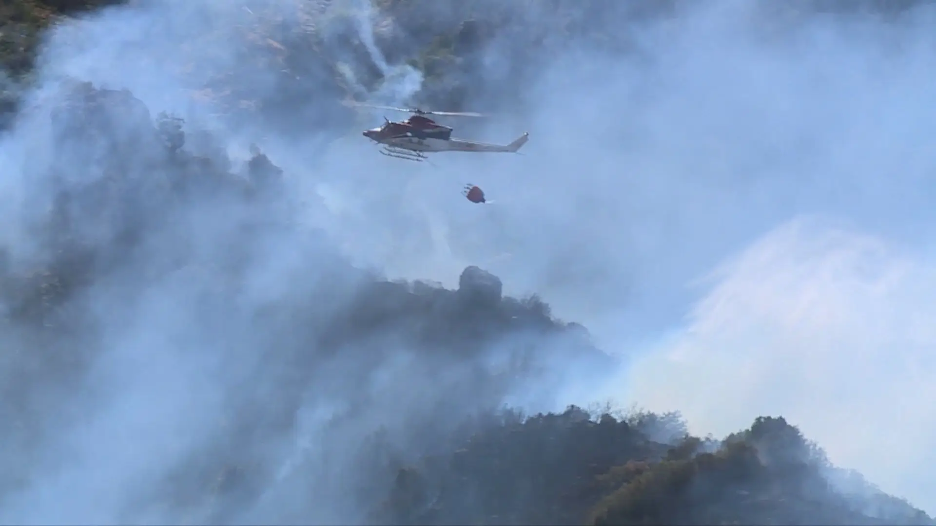 Incêndio na Madeira: vento dificulta trabalho das equipas