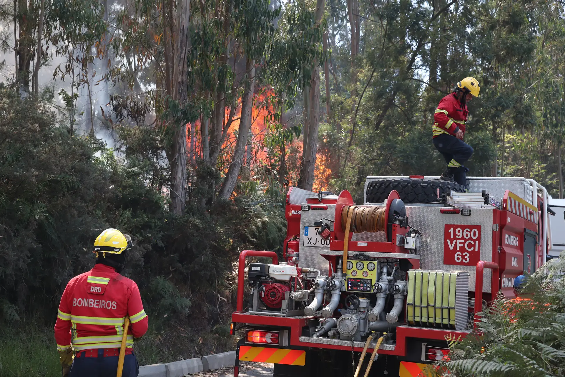 Equipa dos Açores segue para o Funchal para combater chamas