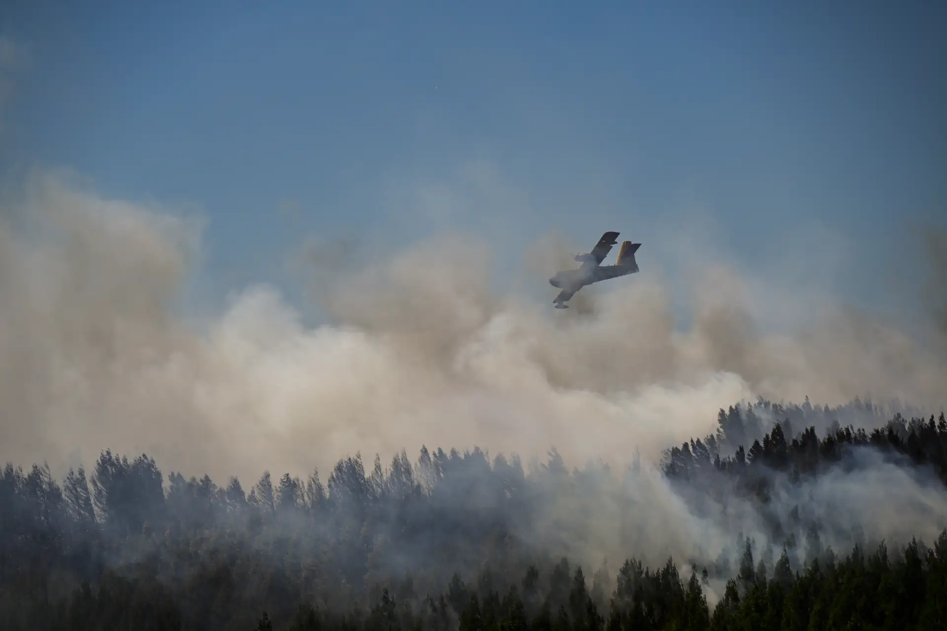 Mais de 100 operacionais e três meios aéreos combatem incêndio no concelho de Elvas