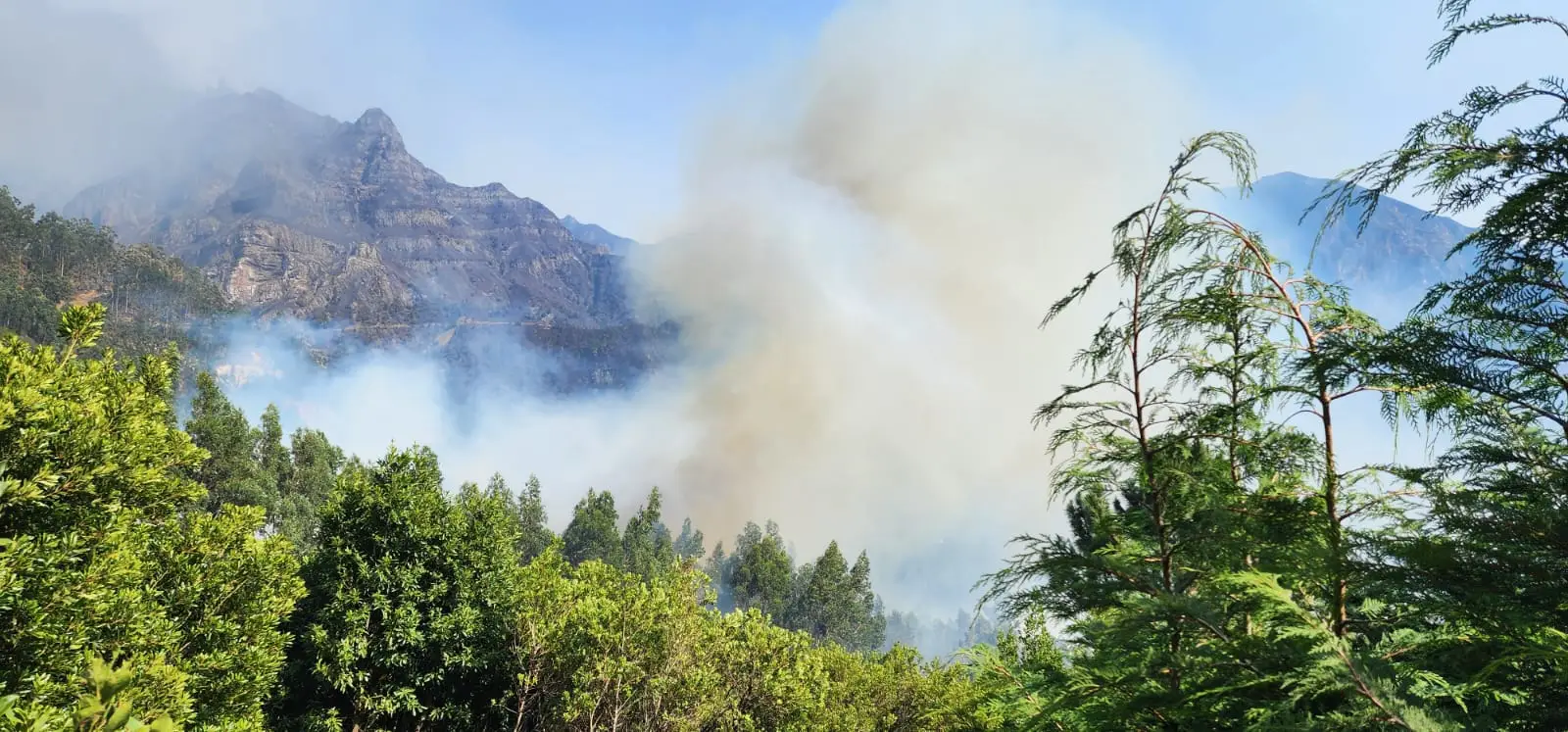 Área ardida na Madeira “é superior a meia cidade de Lisboa”, levará “muitos anos” a recuperar
  #ÚltimasNotícias #lisboa