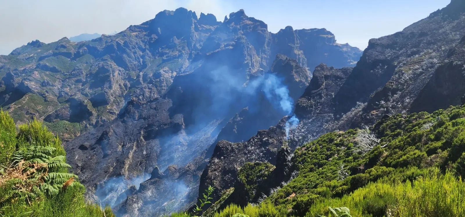 Incêndio na Madeira com 3 frentes ativas, na Ponta do Sol houve fogo posto
