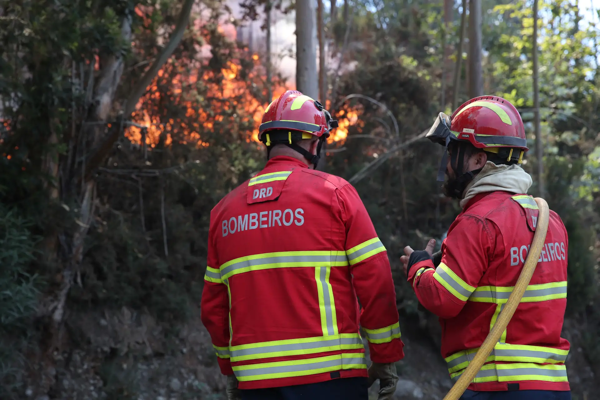 Mais de 360 operacionais combatem fogos na zona de Caranguejeira e em Oliveira de Azeméis
 #ÚltimasNotícias #Portugal