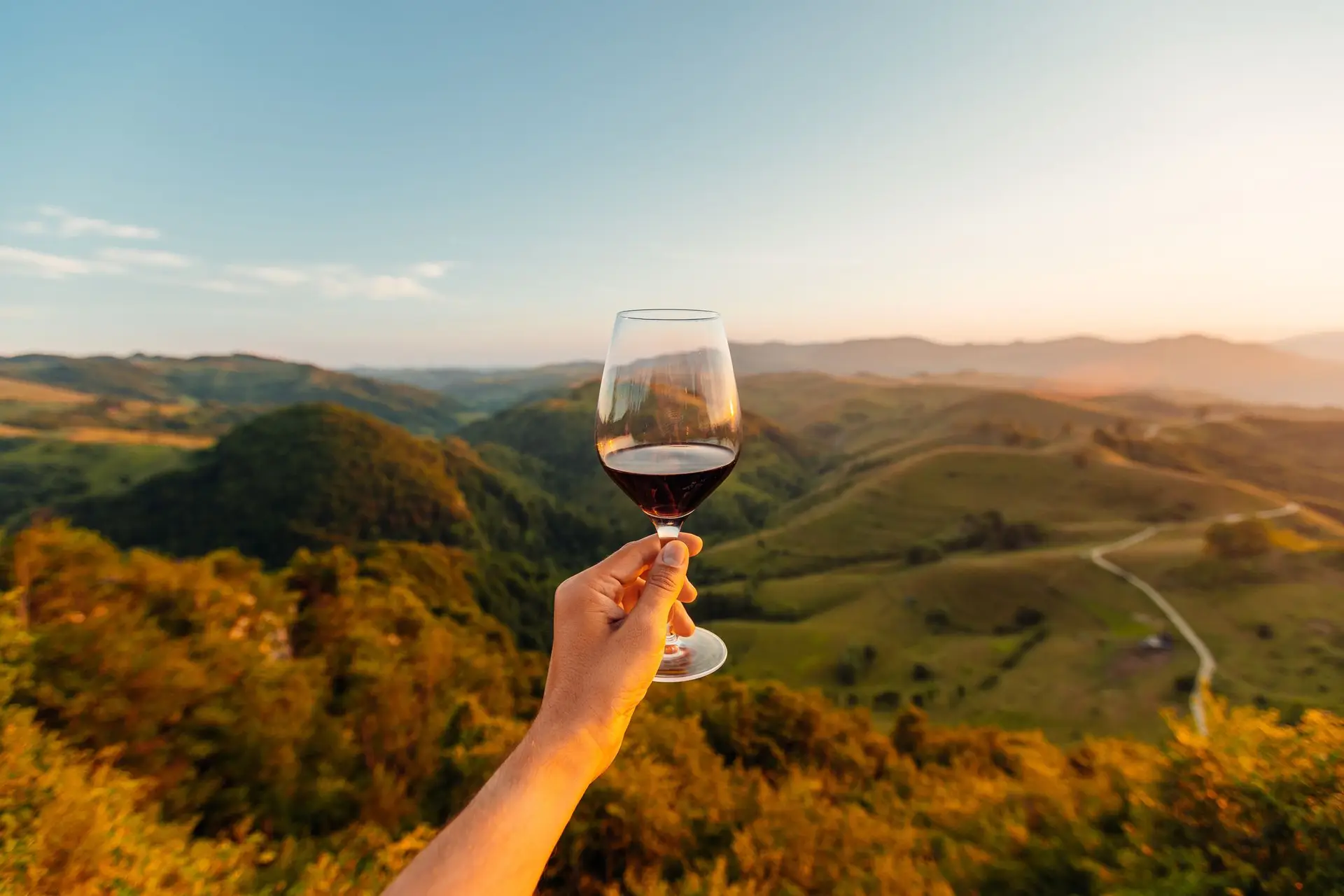 World’s Best Vineyards: três quintas portuguesas de enoturismo entre as 50 melhores do mundo