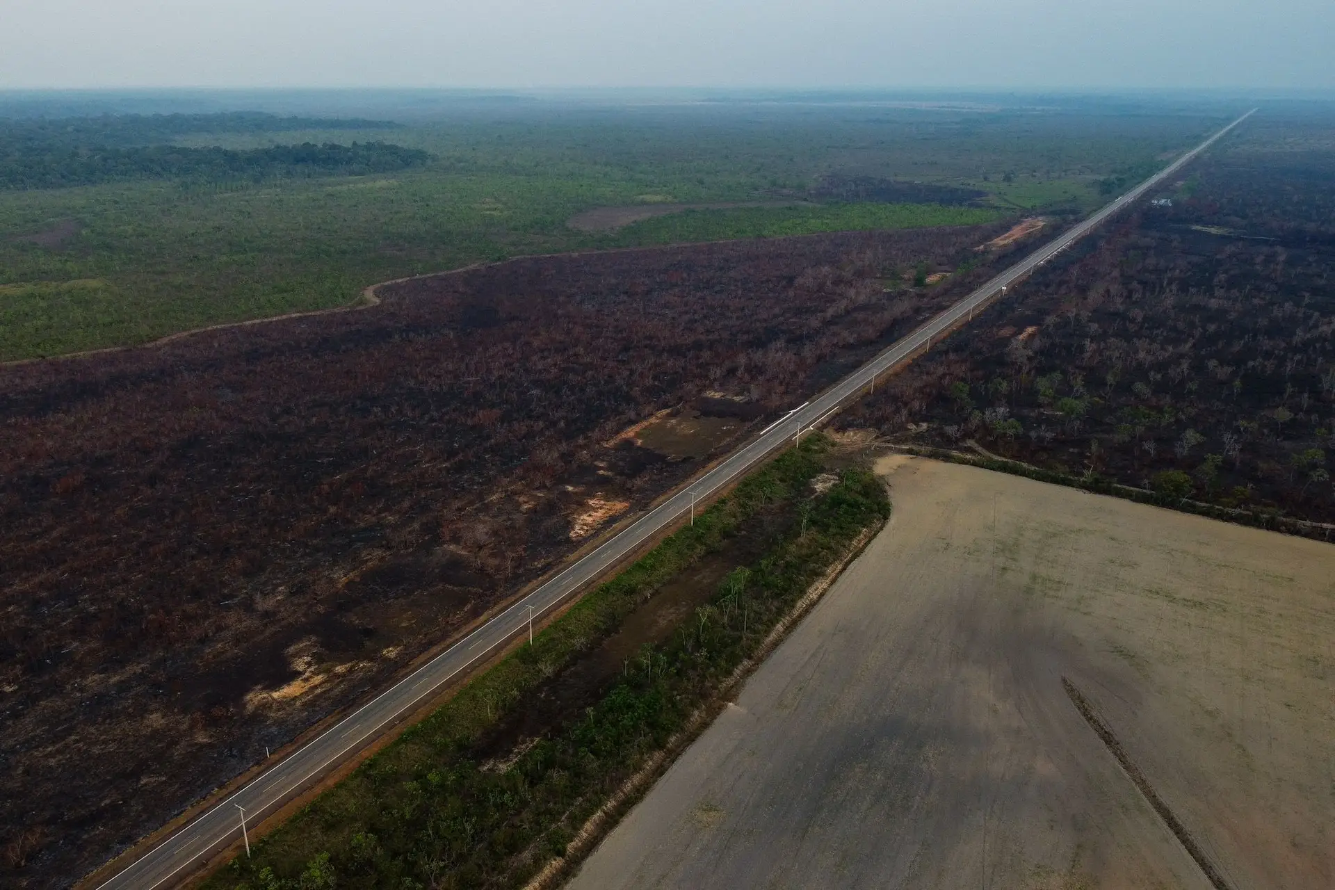 Estrada BR-319, na Amazónia. 