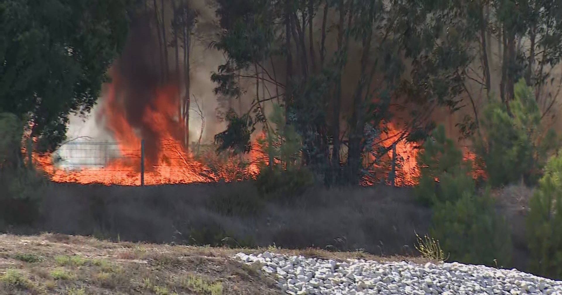 SIC em direto do incêndio - SIC Notícias