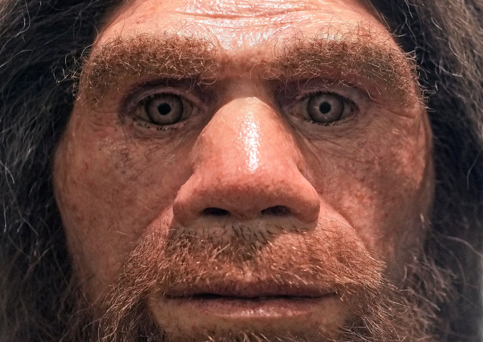 How Neanderthals went extinct? Rare discovery brings new clues