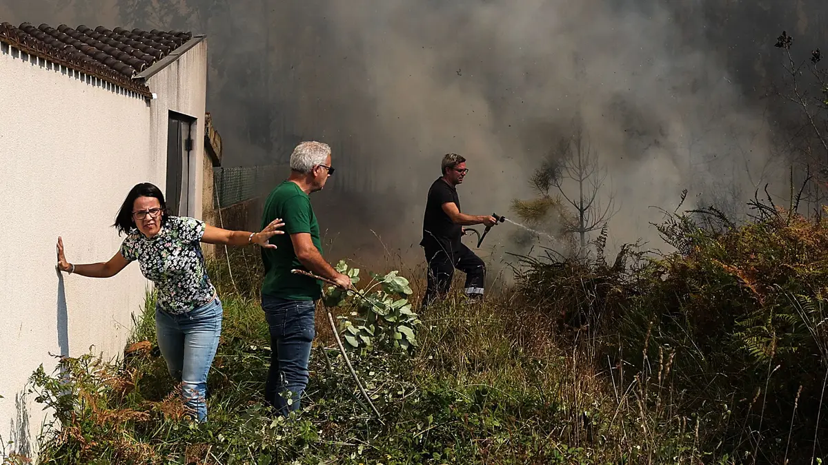 Incêndio de Albergaria-a-Velha
