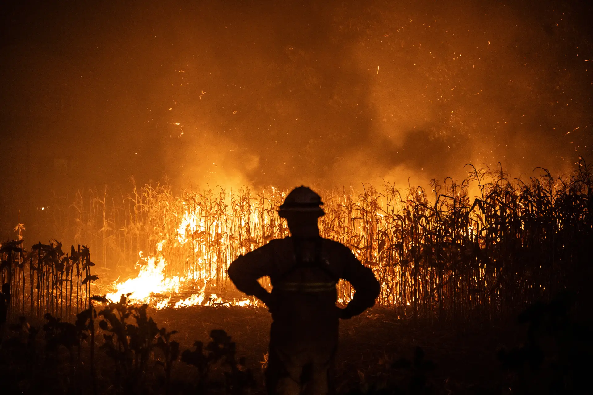 Risco de incêndio: mais de 100 concelhos em perigo máximo