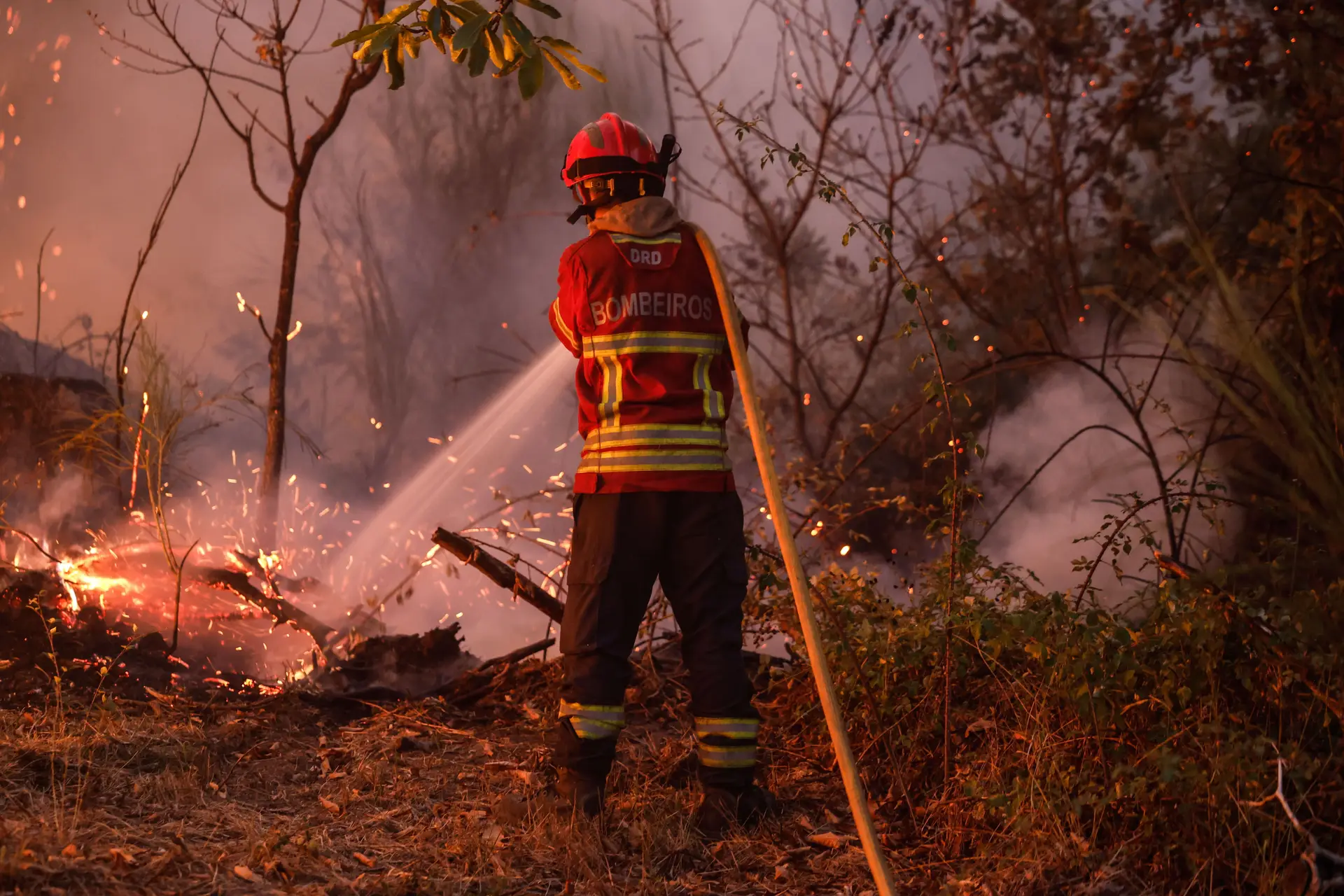 Três bombeiros mortos após acidente durante combate às chamas na zona de Nelas