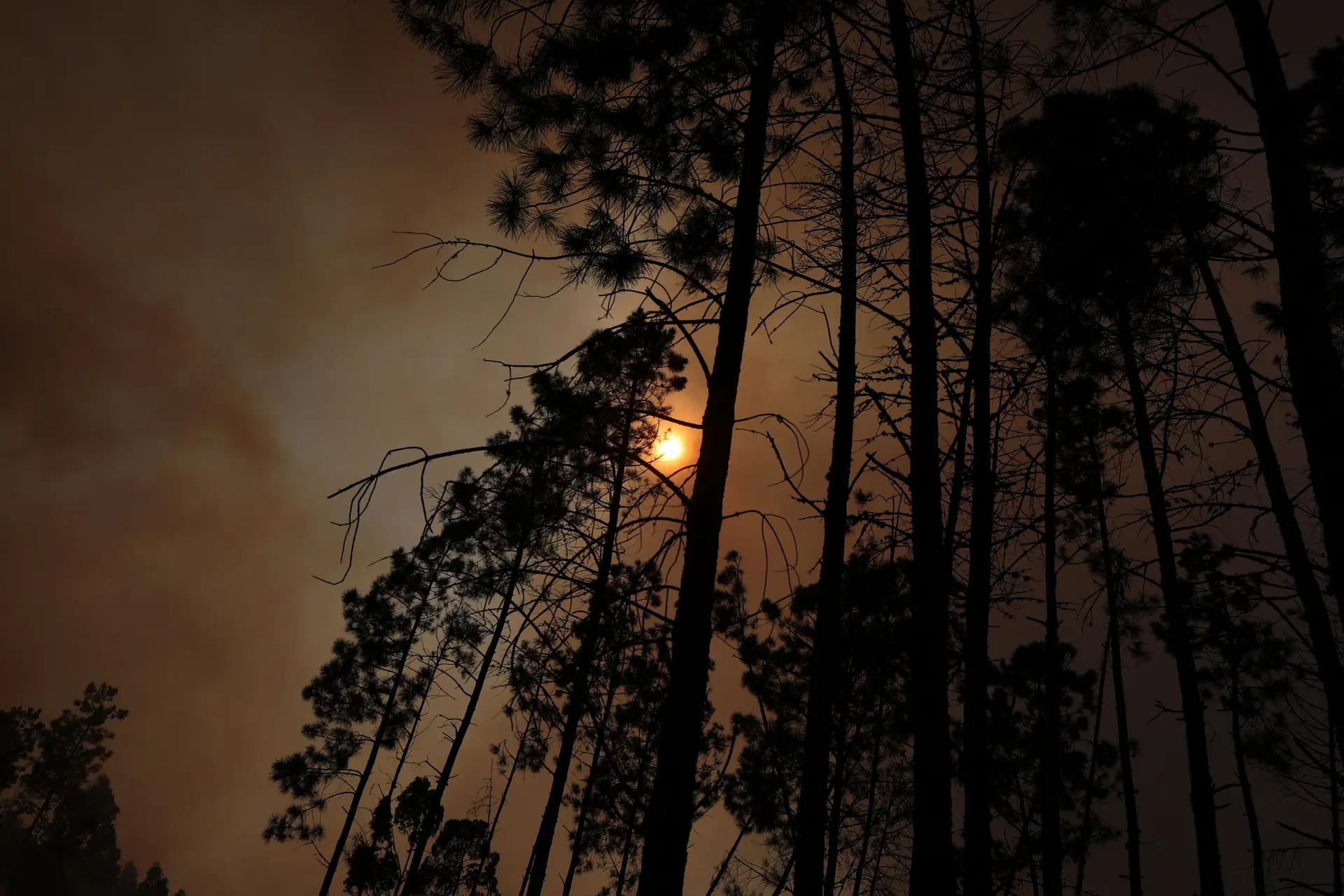 Fogo em Penafiel que ameaçou casas em fase de rescaldo