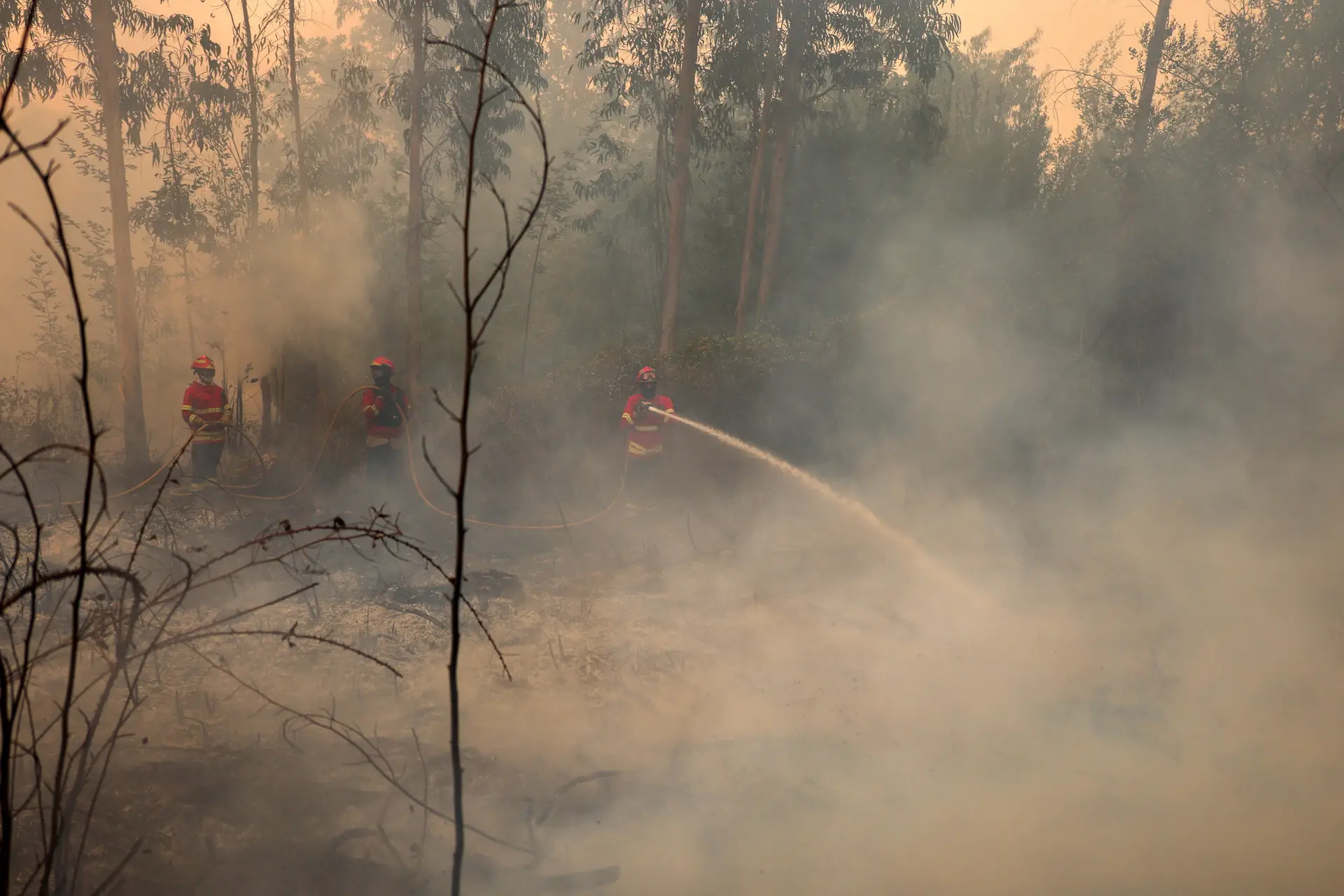 Si sospetta che gli incendi tra alzustrello e Castro Verde siano stati presi in controllo