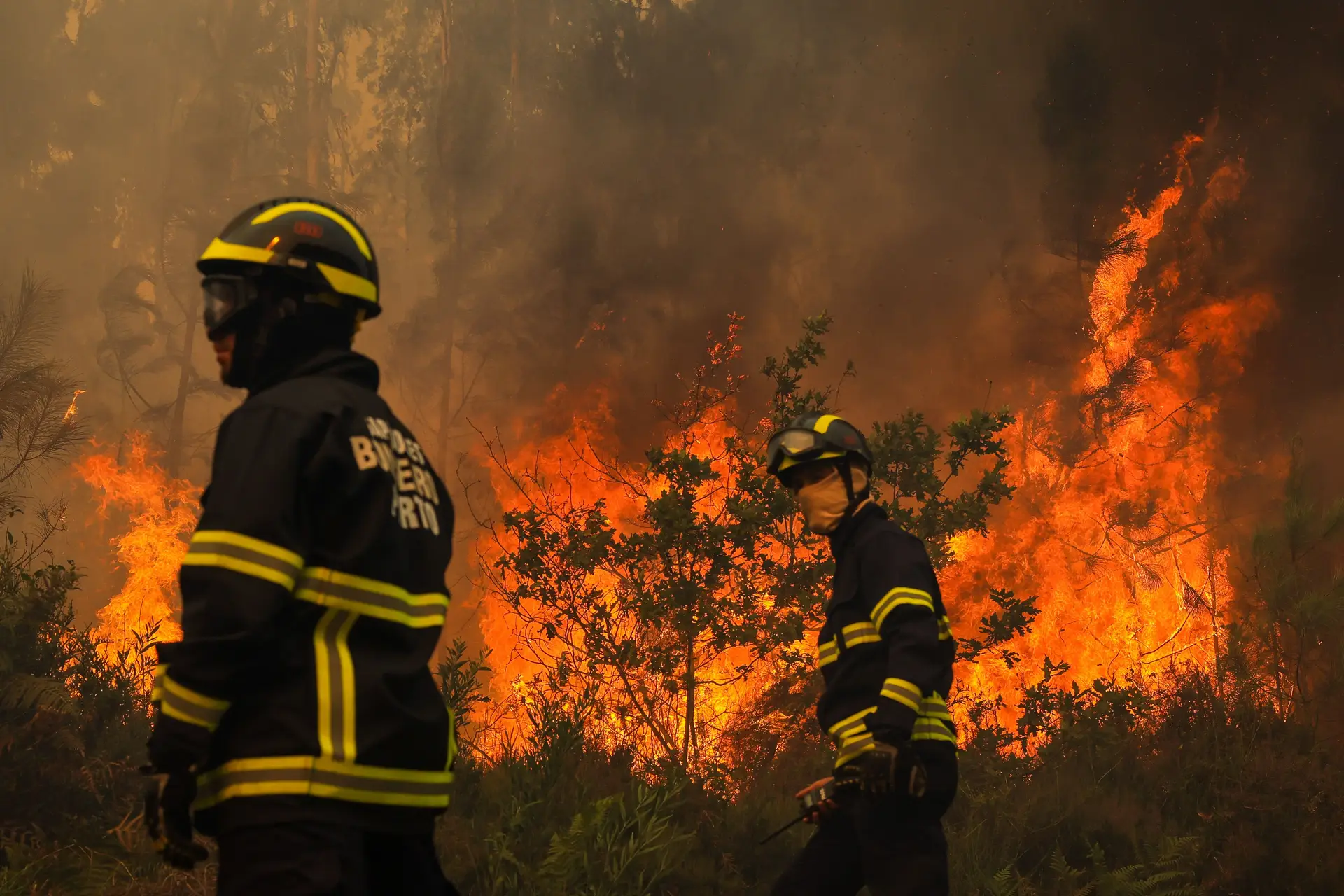 Câmara de Tábua quer atribuir medalha de mérito aos três bombeiros que morreram