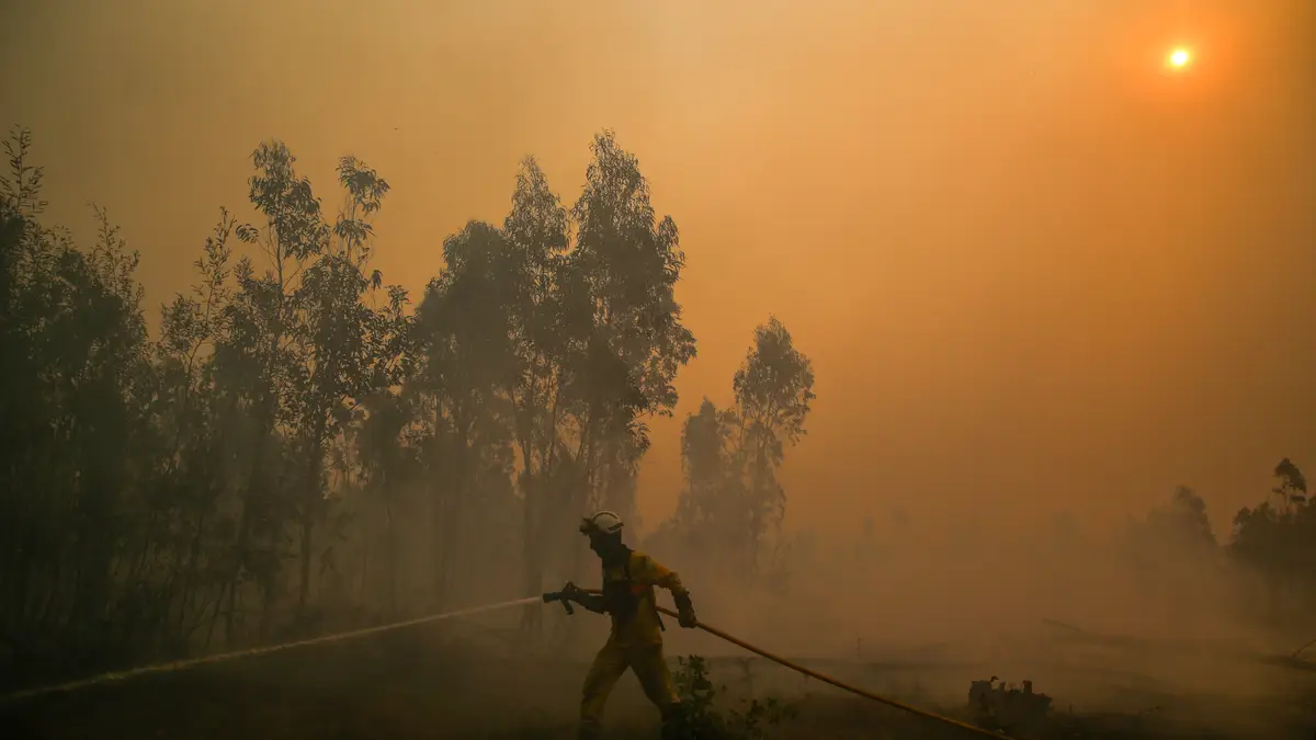 Incêndio em Águeda