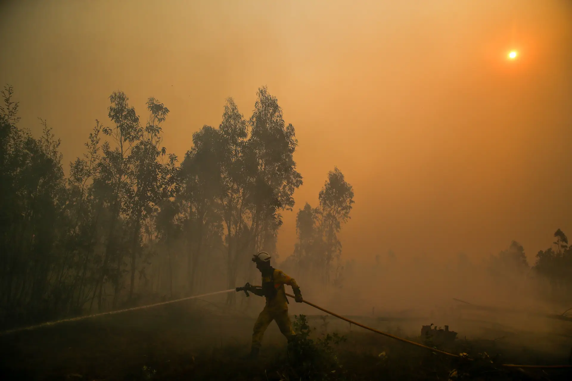 Incêndio em Águeda