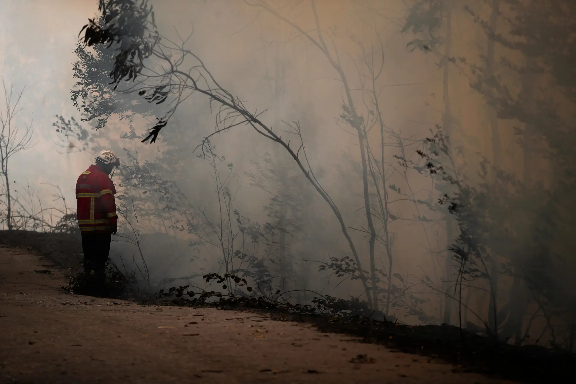 Meios de combate a incêndios rurais reforçados com quase 9.000 operacionais e 33 meios aéreos