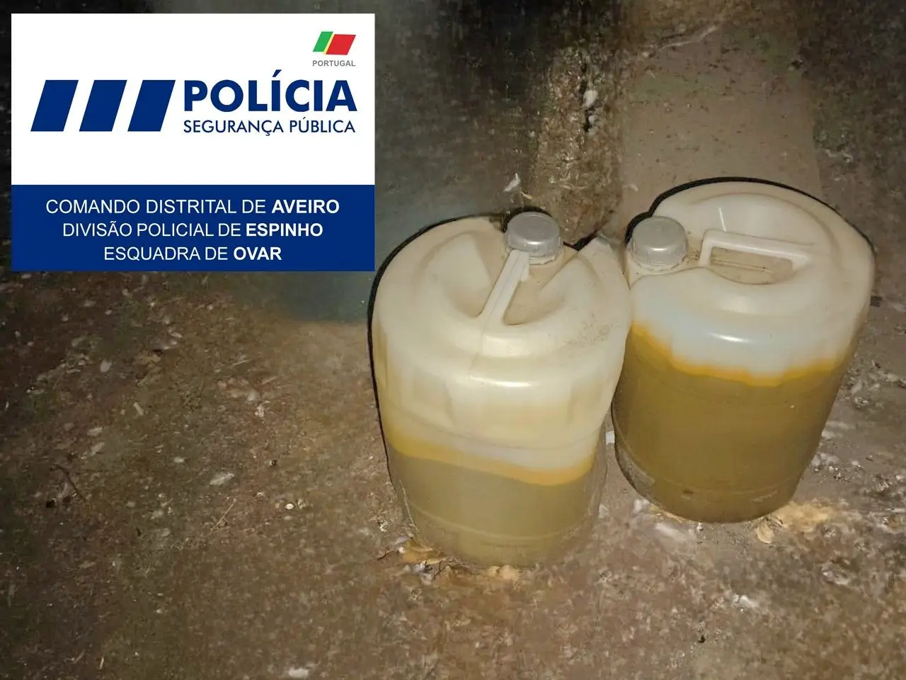 Bidões com combustível encontrados em zona florestal em Ovar