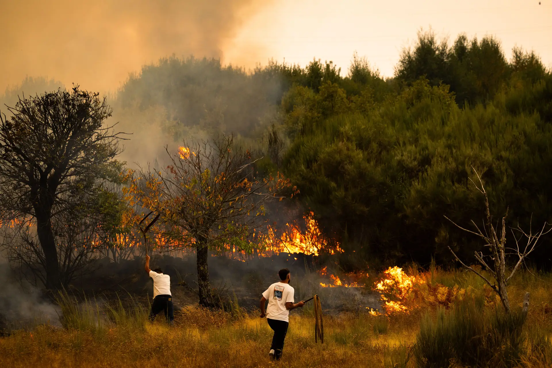Fogos de Arouca e Vila Pouca de Aguiar em fase de resolução, Castro Daire é a maior preocupação