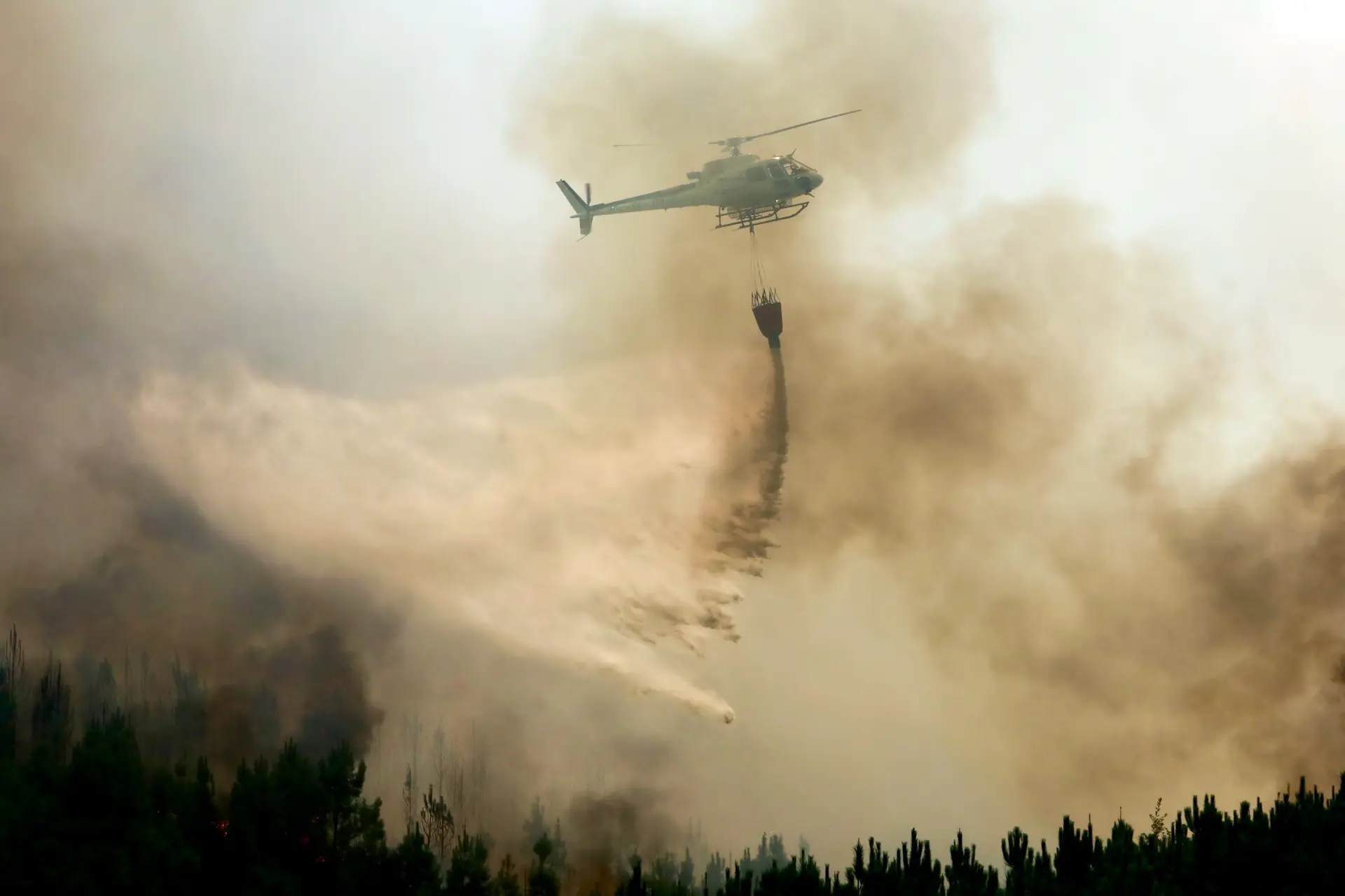 Dominado fogo em Portalegre e Castelo de Vide, segundo Proteção Civil