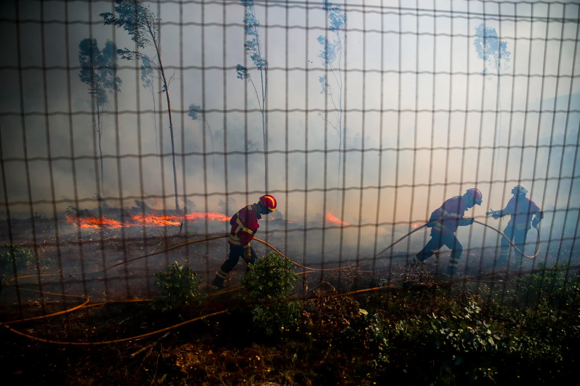 ICNF refere que número de incêndios foi o mais baixo da década, mas área ardida foi terceira maior
