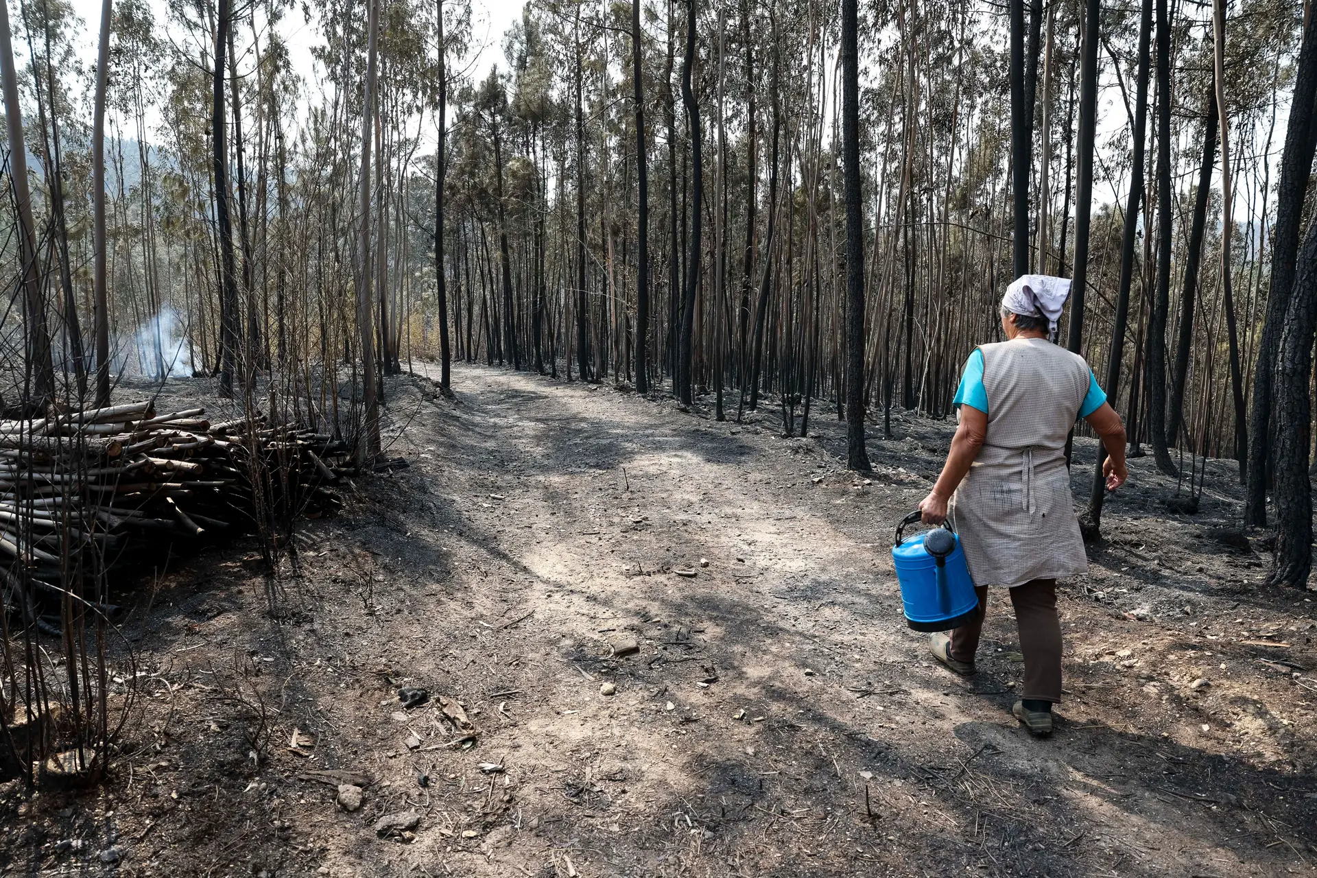 Depois dos fogos, os prejuízos: população começa a fazer contas