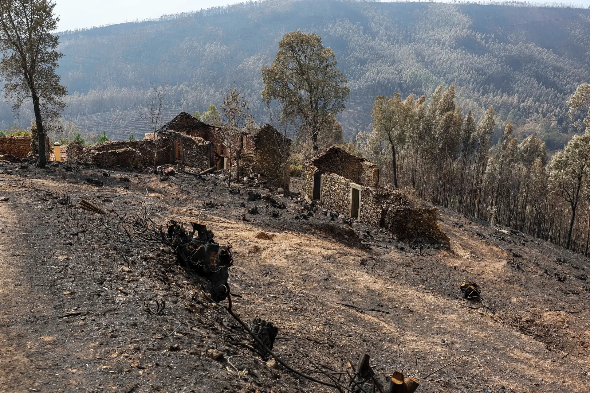 Incêndios: APA faz intervenção de emergência para travar arrastamento de terras