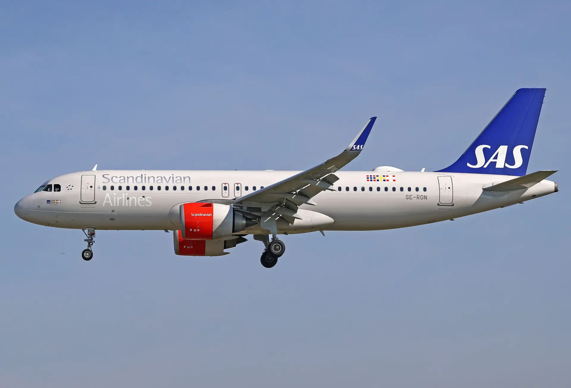 "Abriu a comida e um rato saltou": avião da SAS faz aterragem improvisada após episódio insólito