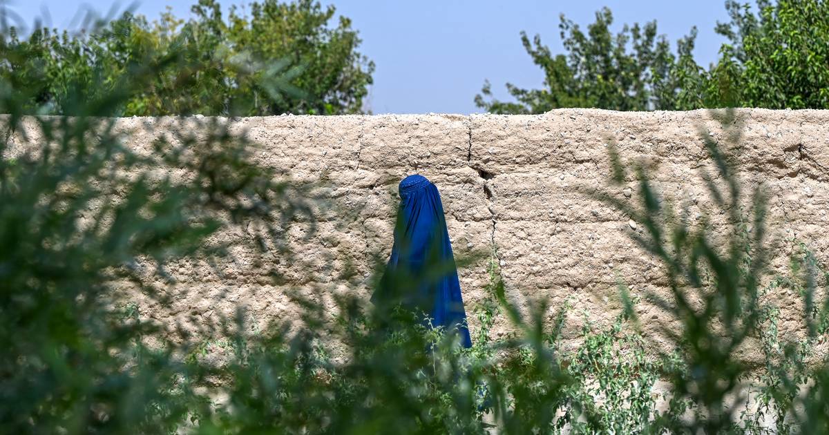 15 minutos: a proibição do uso da burca em Portugal e as milhares de pessoas à porta da AIMA