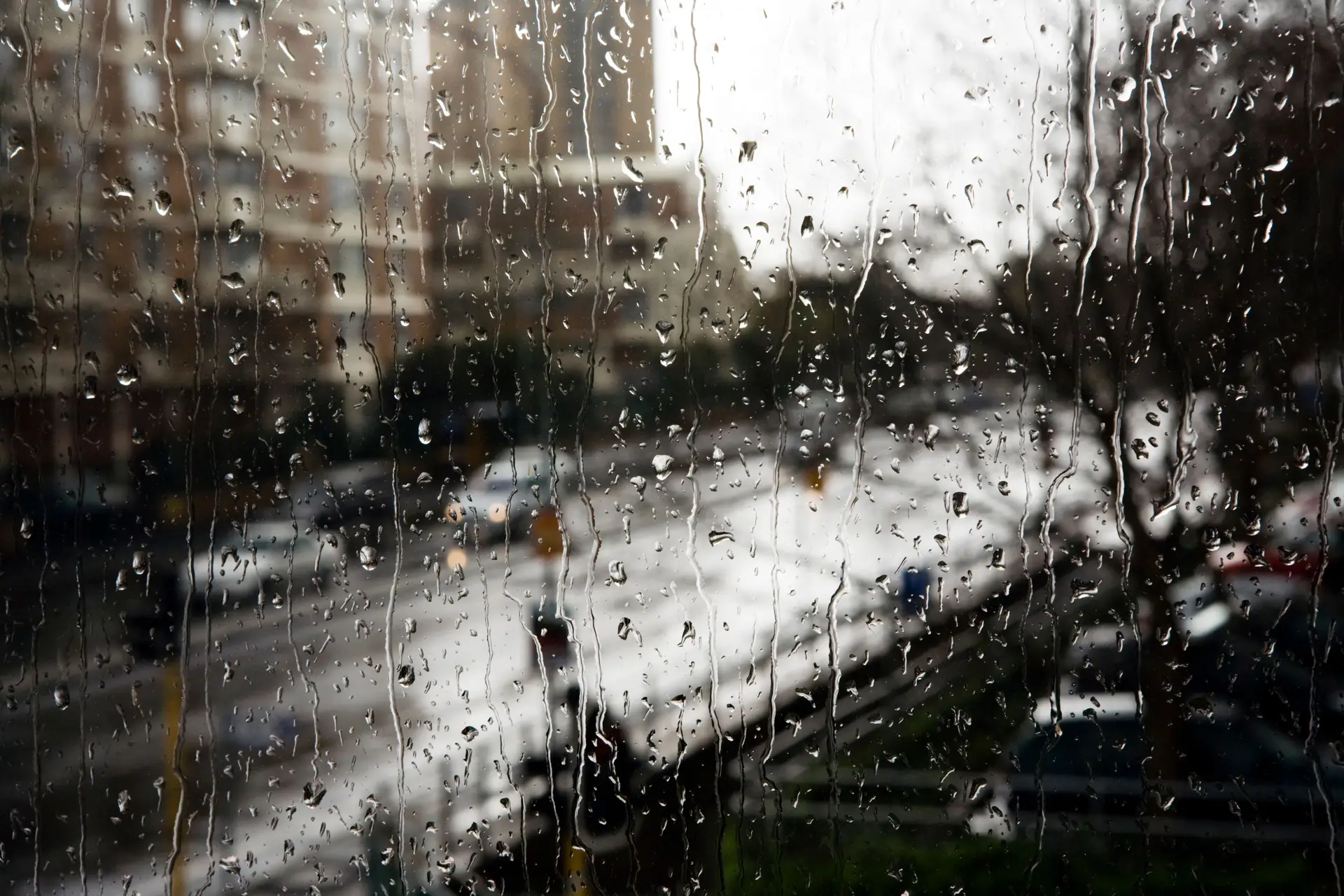 Registadas 173 ocorrências até às 7:00 desta terça-feira devido à chuva