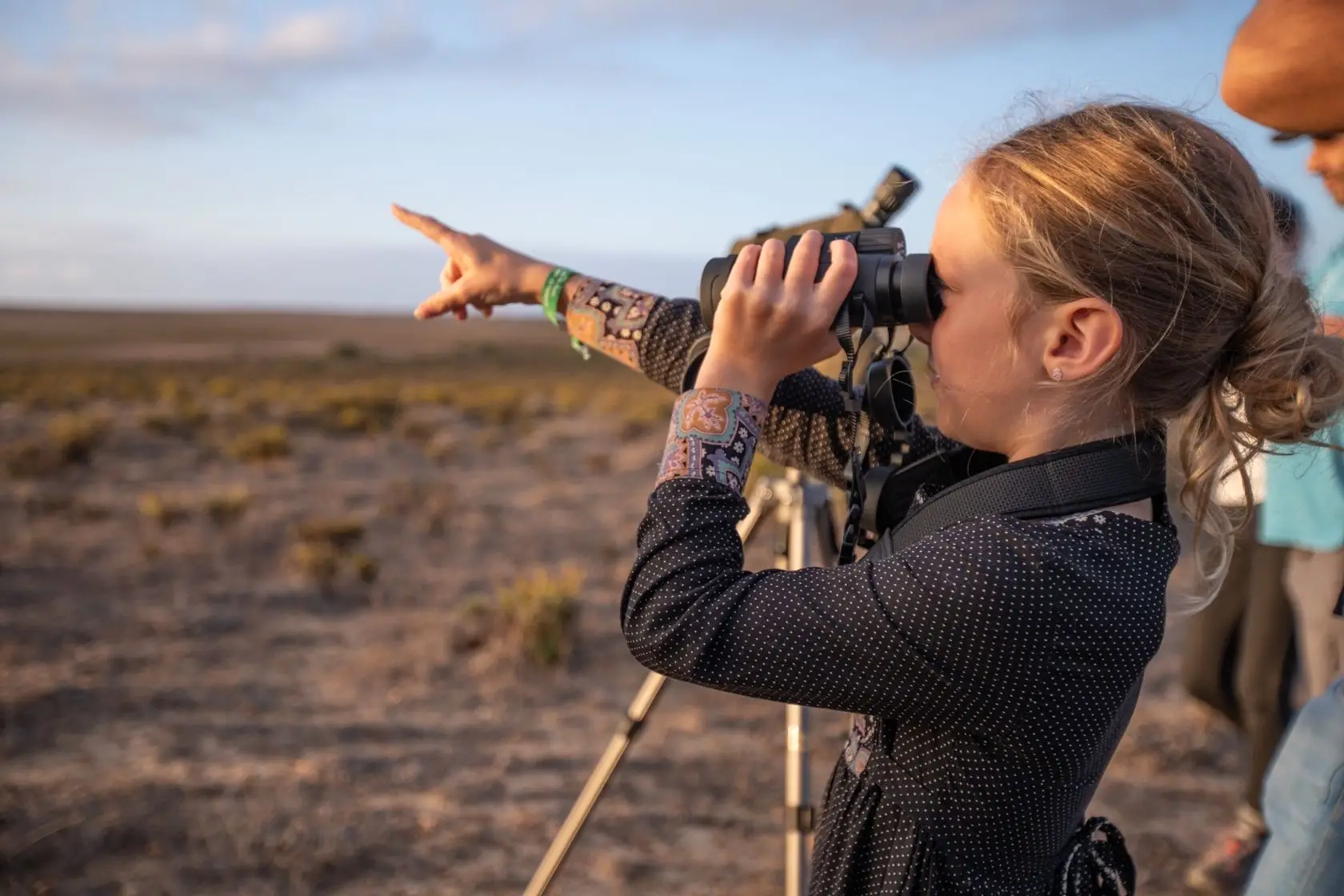 Festival de Observação de Aves em Sagres com mais de 250 atividades