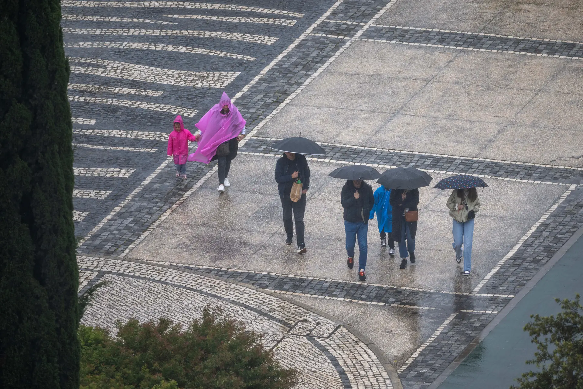 Chuva "persistente", vento "forte" e agitação do mar: eis as recomendações das autoridades