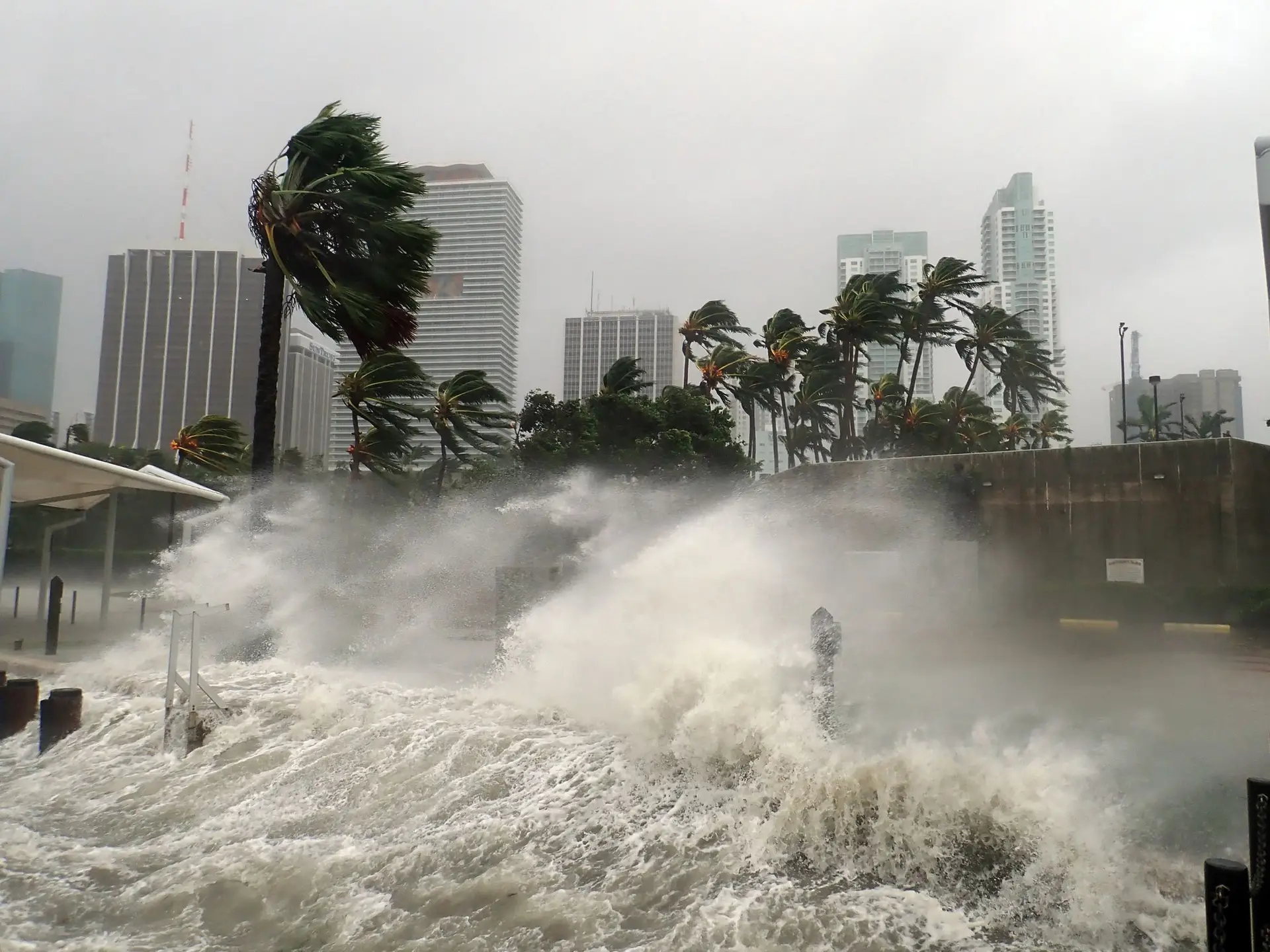 Furacão Milton atinge categoria 5 e leva a ordens de evacuação na Florida