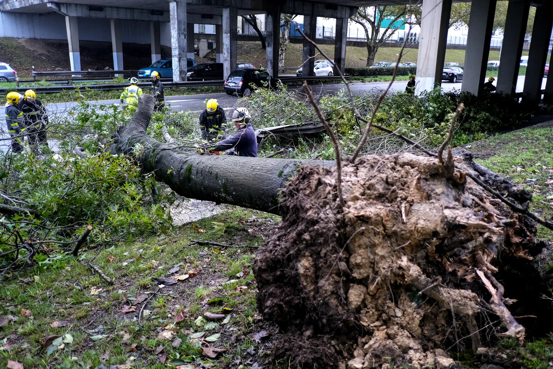 Tempestade Kirk começa a dar tréguas, restabelecida circulação na Linha do Minho