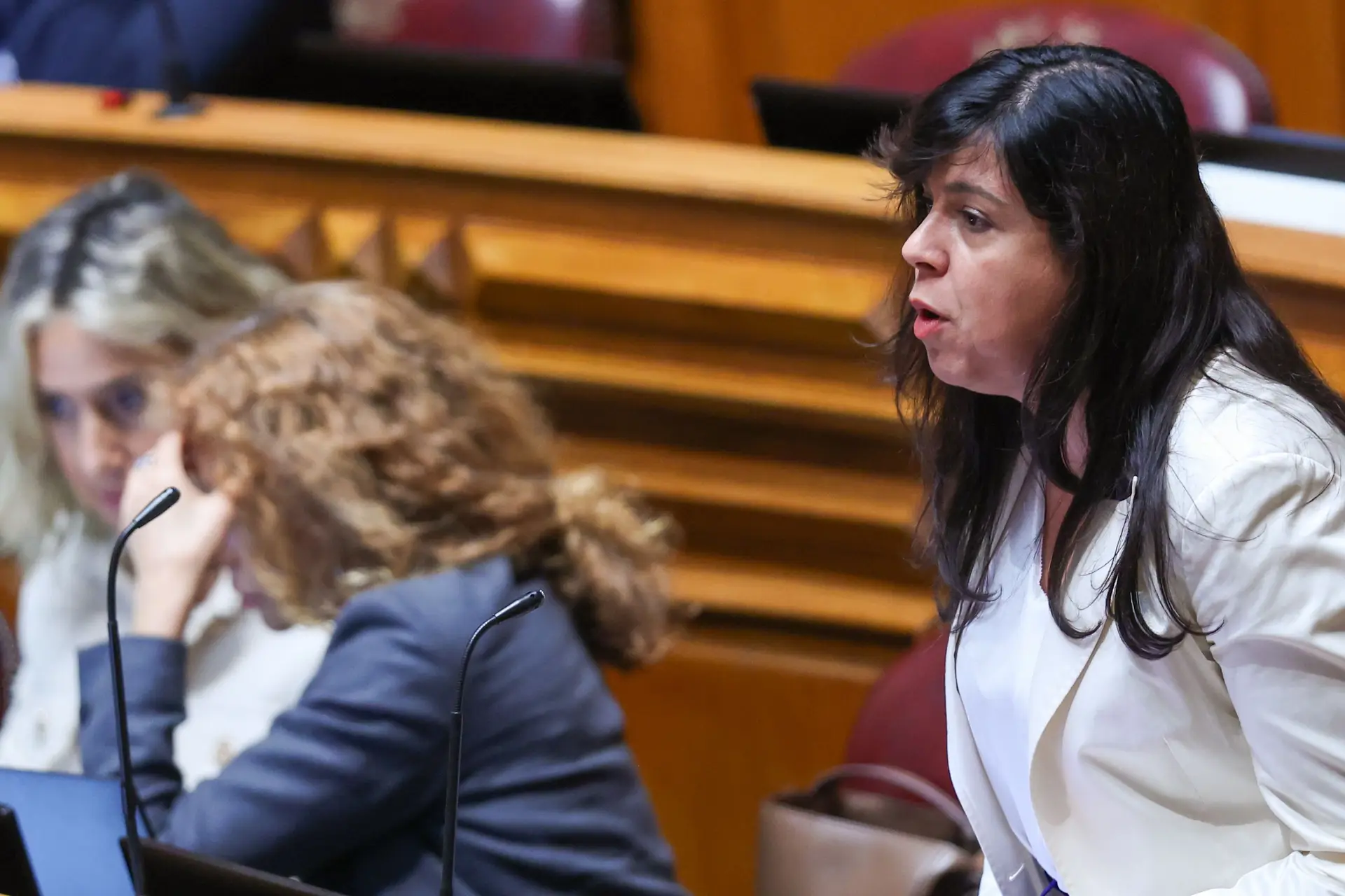 OE: PAN espera que Governo "não fique orgulhosamente só em torno das suas propostas" no debate da especialidade