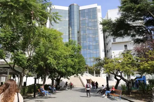 Universidade Nova de Lisboa premeia antigos alunos em artes, ciências sociais e humanidades