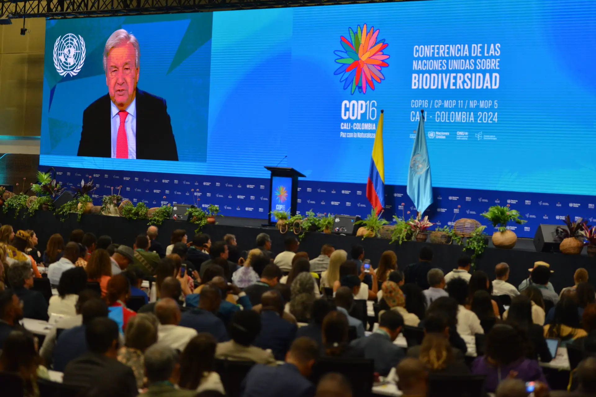 António Guterres pede "investimentos significativos" para salvar a Natureza