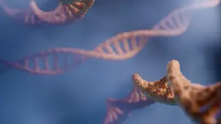 A componente hereditária no aparecimento do cancro